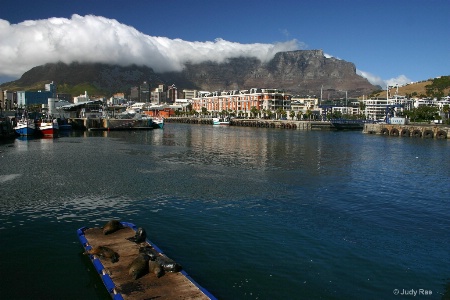 Cape Town South Africa