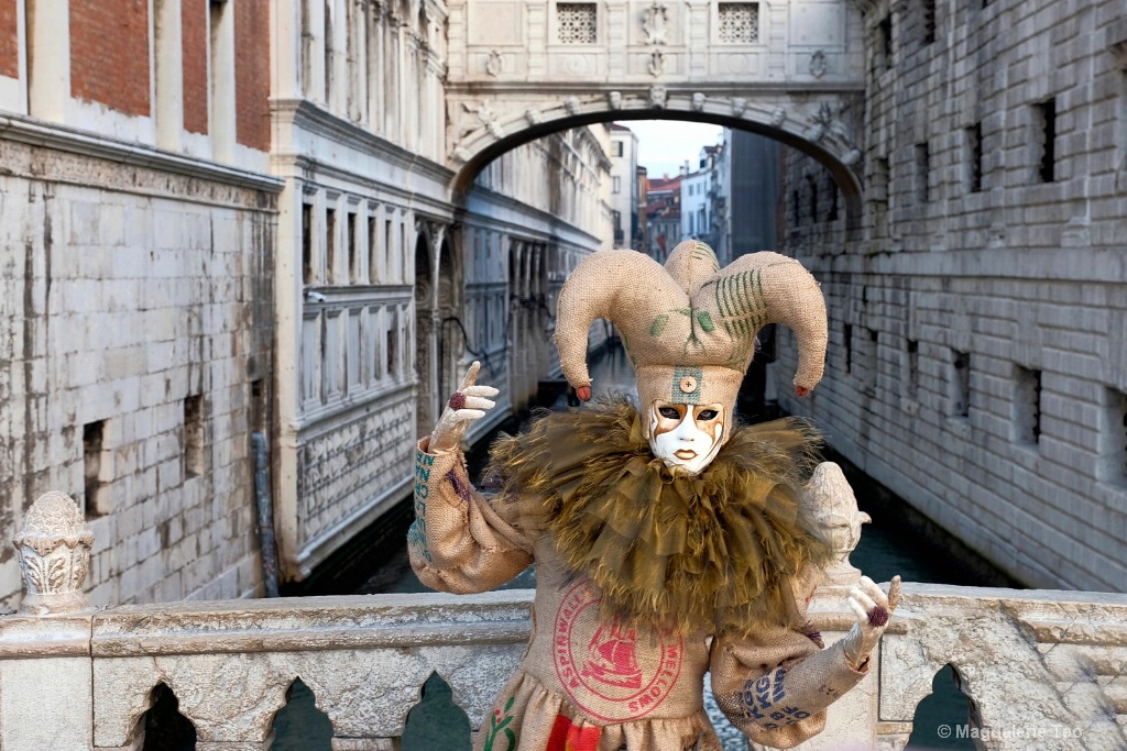 Venice Carnival: Color Series - Brown Sighs - ID: 15522993 © Magdalene Teo