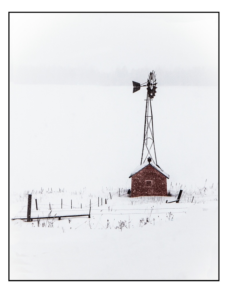 Snowy Day in Montana