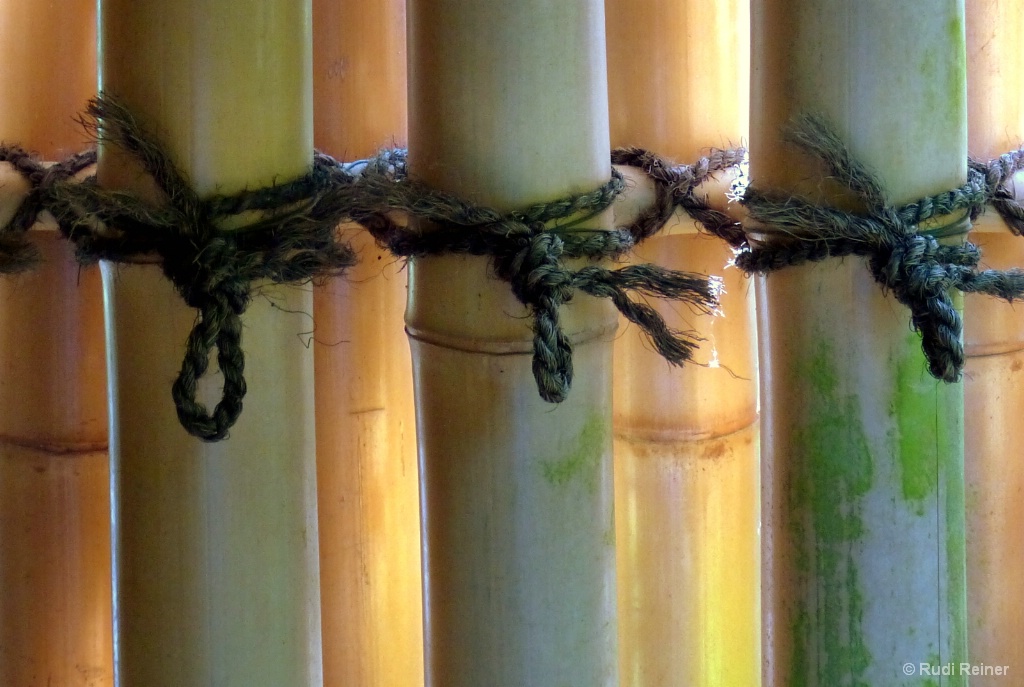 Bamboo door 