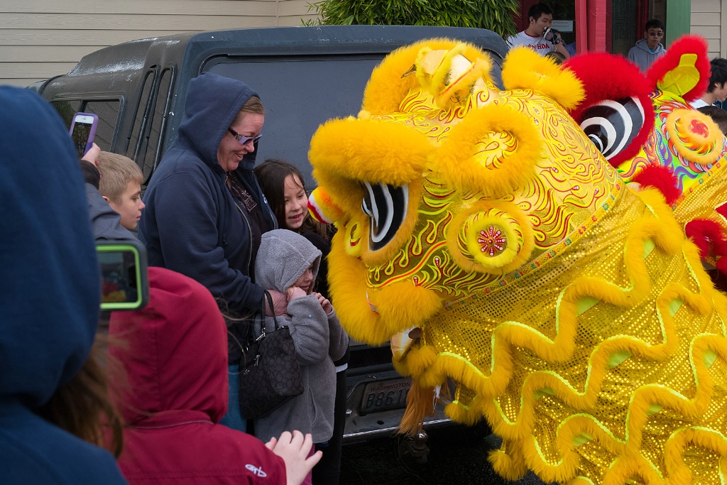 Lion Dancers and Somewhat Hesitant Young Fans - ID: 15523613 © John Tubbs