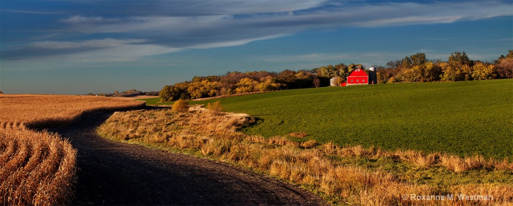 Paths to the red barn