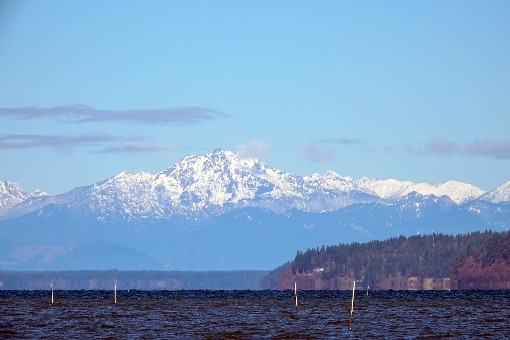 Olympic Mountains Across Nisqually Reach