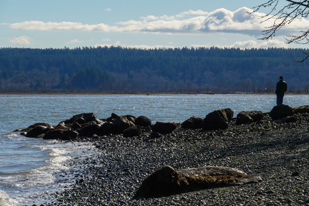 Looking East from Luhr Beach - ID: 15524457 © John Tubbs