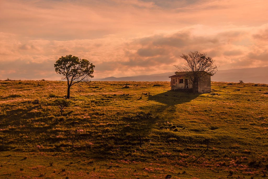 Little abandoned house