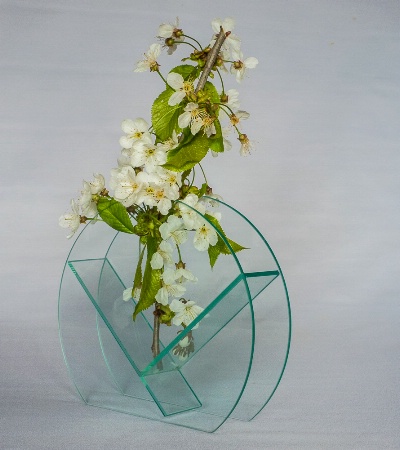 Blossoms in a Vase