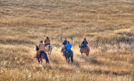 The Searchers 