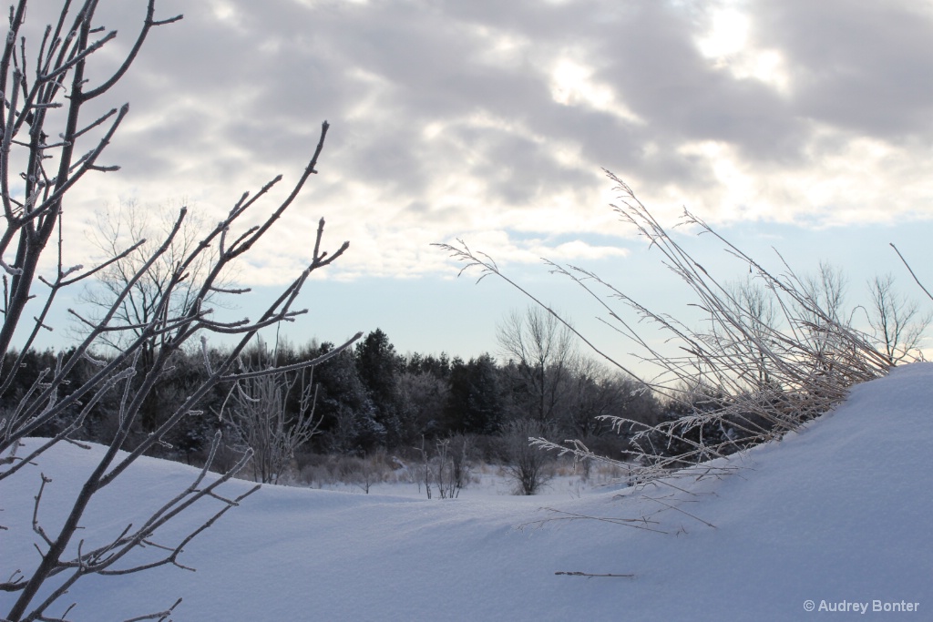 One Last Look at Winter