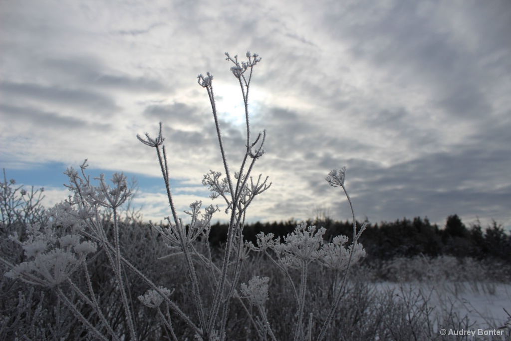 One Last Look at Winter