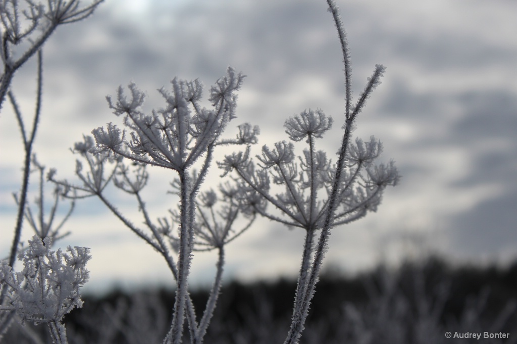 One Last Look at Winter