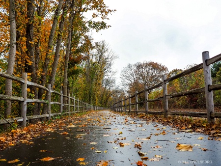 A walk iin the rain