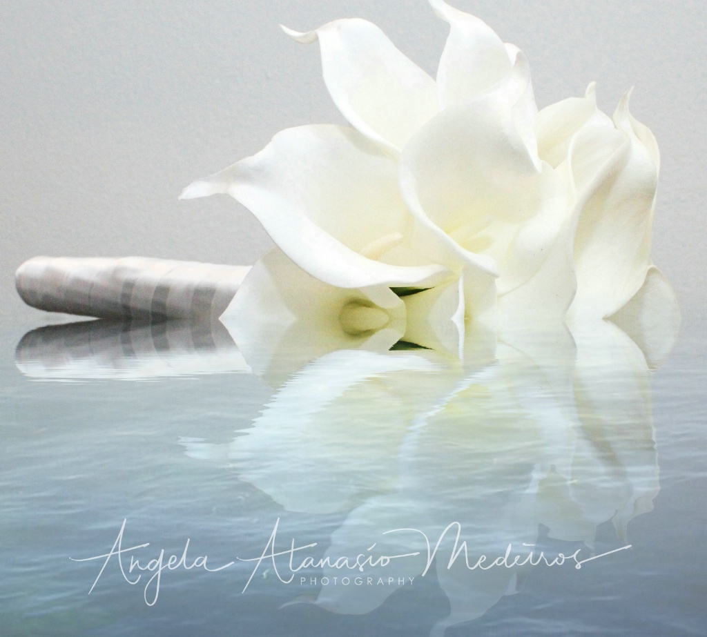 Wedding Day Reflections, my bouquet. - ID: 15529025 © Angela Atanasio-Medeiros