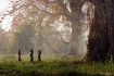 Beauty of Country...