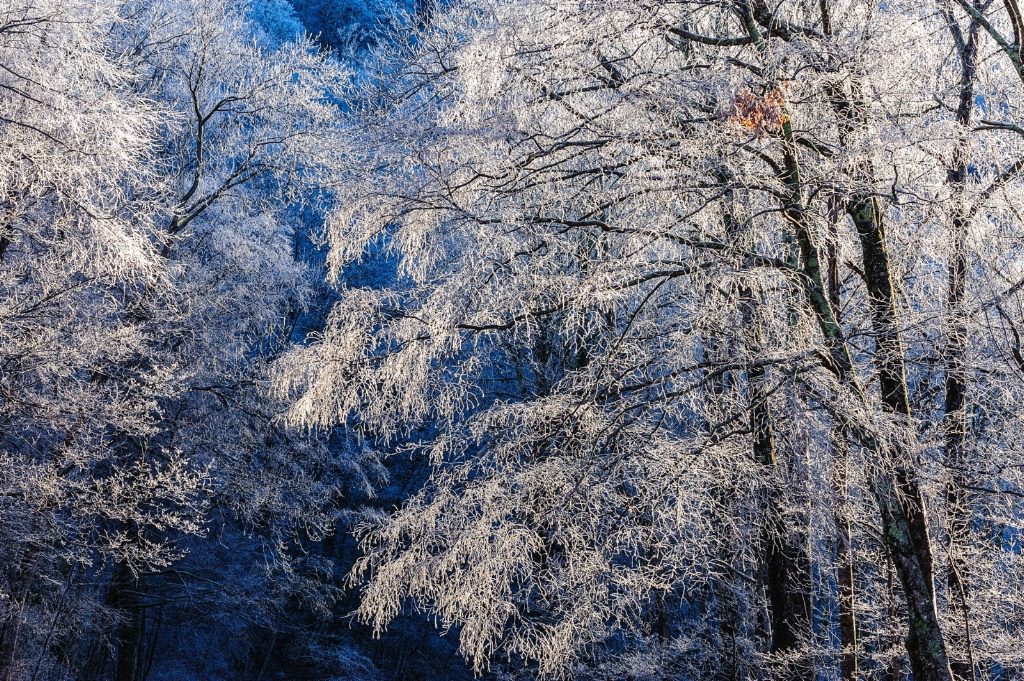 Winter Wonderland in the Great Smokies