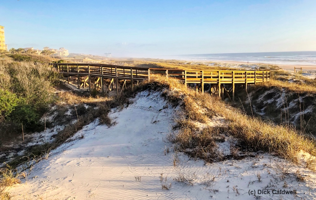 Morning Dunes in Amelia Island, Fl by Dick Caldwel - ID: 15529970 © Gloria Matyszyk