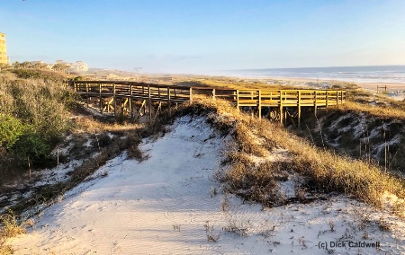 Morning Dunes in Amelia Island, Fl by Dick Caldwel