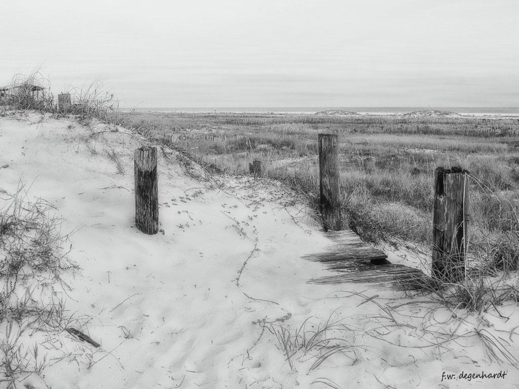 Coastal Landscape