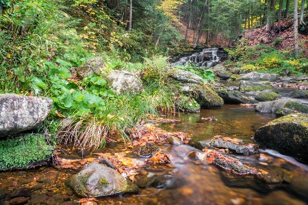 Beecher Falls