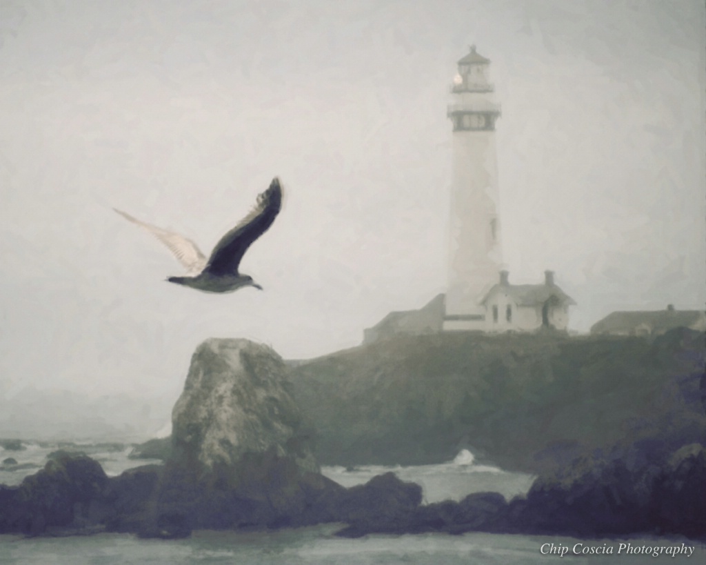 Seagull and Lighthouse - ID: 15534136 © Chip Coscia