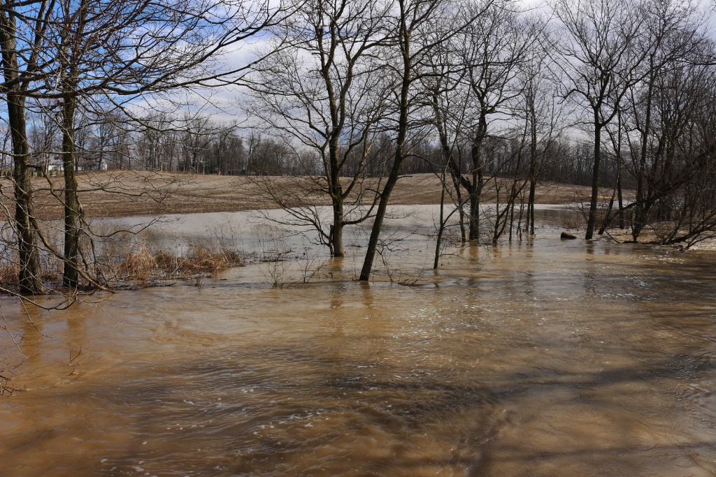 Flooded - ID: 15534390 © Theresa Marie Jones