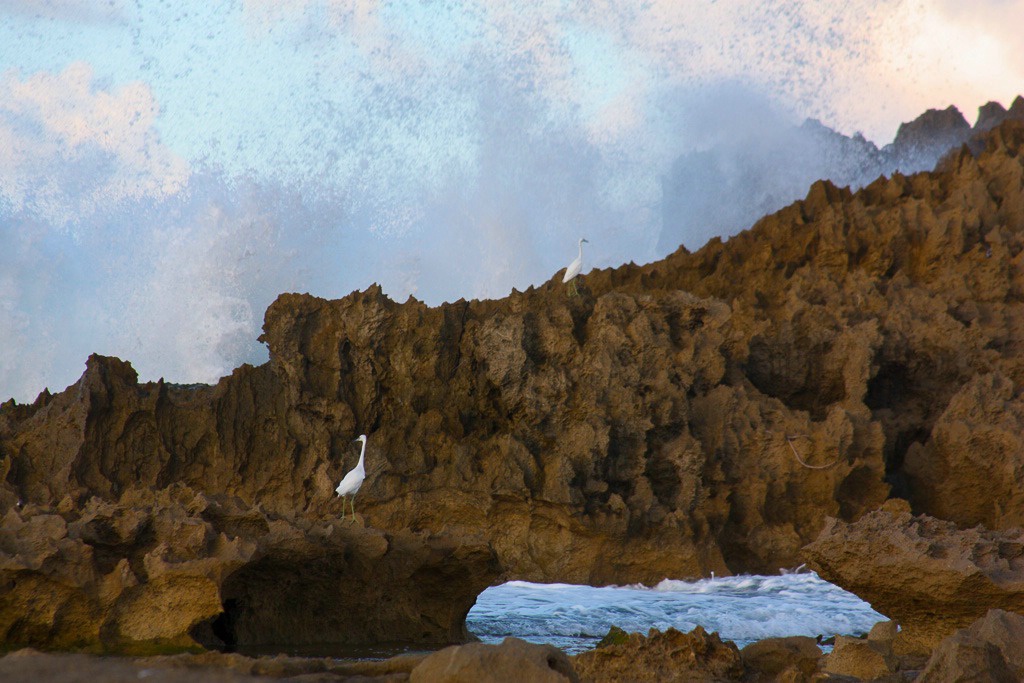 Waves Among the Rocks