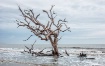 Still Standing