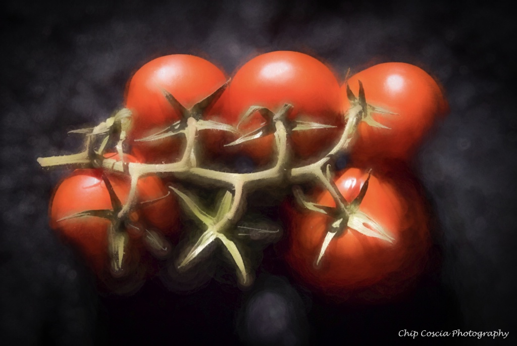 Painterly Tomatoes On Vine - ID: 15537168 © Chip Coscia