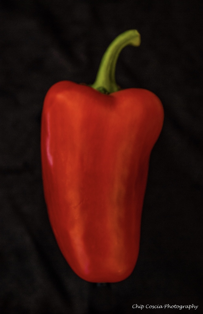 Red Pepper - ID: 15537170 © Chip Coscia