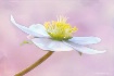 Spring is arrivin...