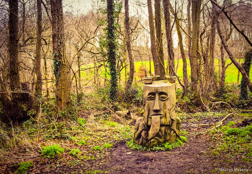 Wooden Head