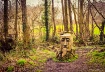 Wooden Head