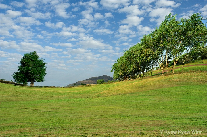 Green Land