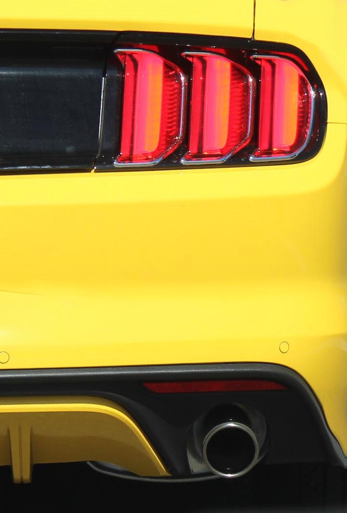 Yellow Rear