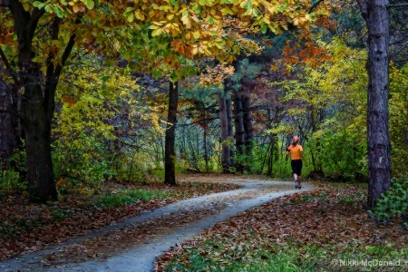 Jogger at Lake Zorinsky