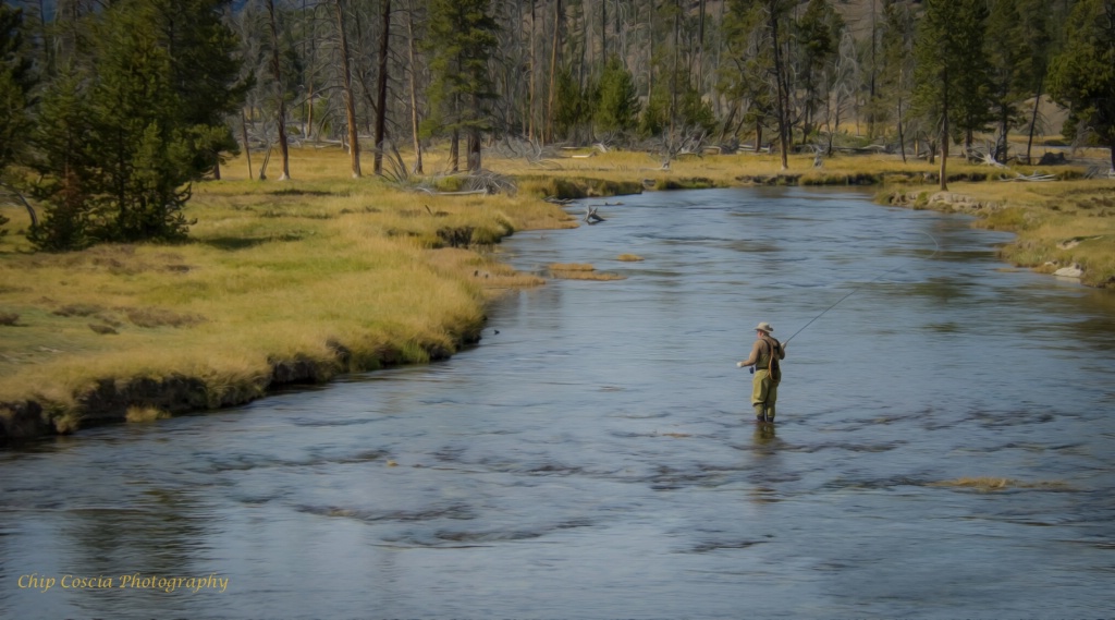 Yellowstone Fisherman - ID: 15543442 © Chip Coscia