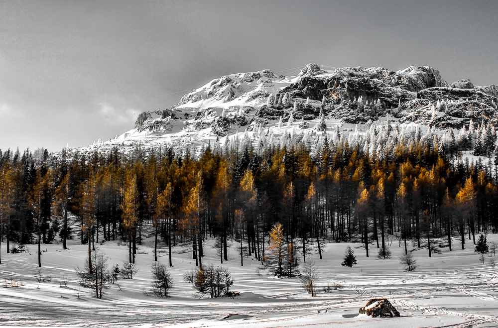 Still Snow on the Mountain