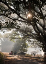 September 2018 Photo Contest 2nd Place Prize Winner