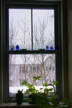 Snowy Window Still Life
