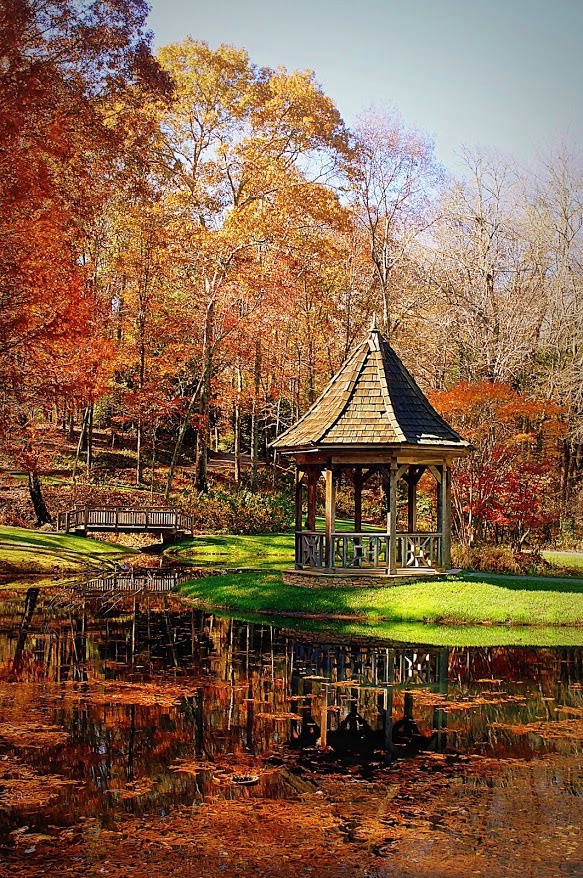 Fall along the Pond