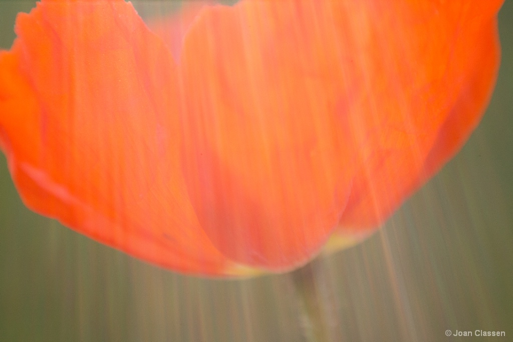 img7