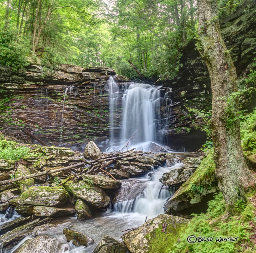 Falls of Hill Creek