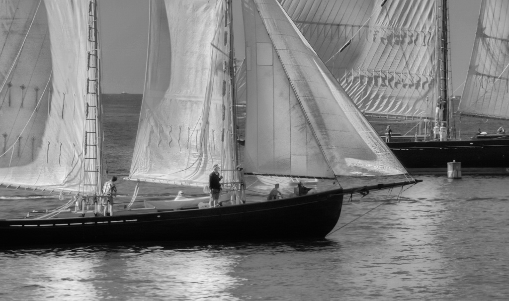 Schooner Sails