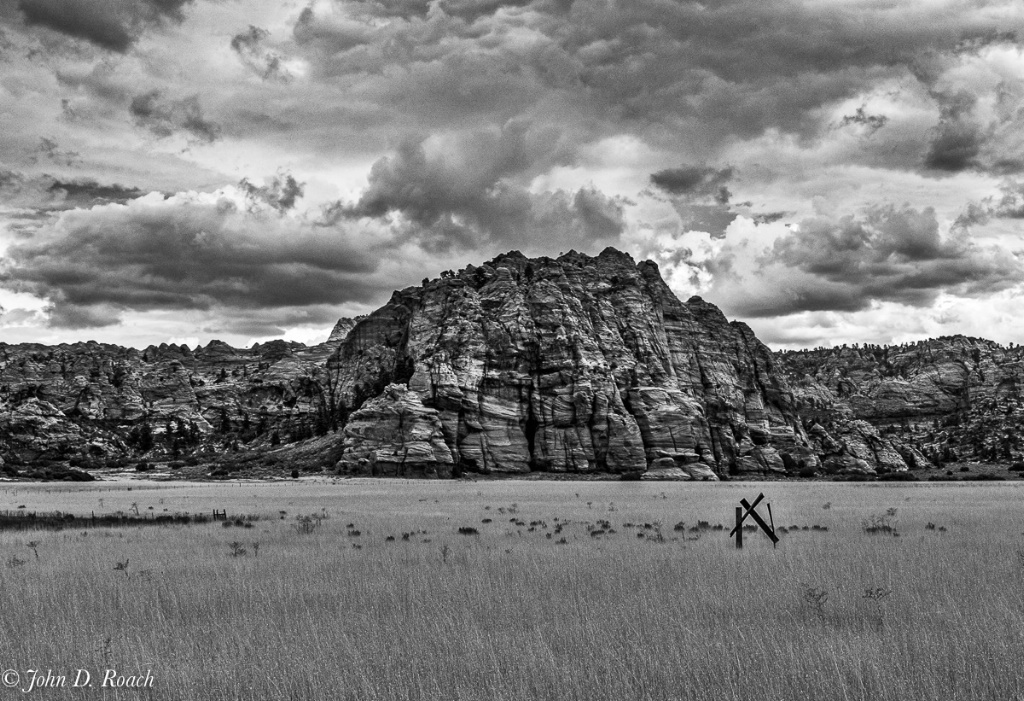 Kolob Plateau - ID: 15545777 © John D. Roach