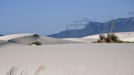 White Sands