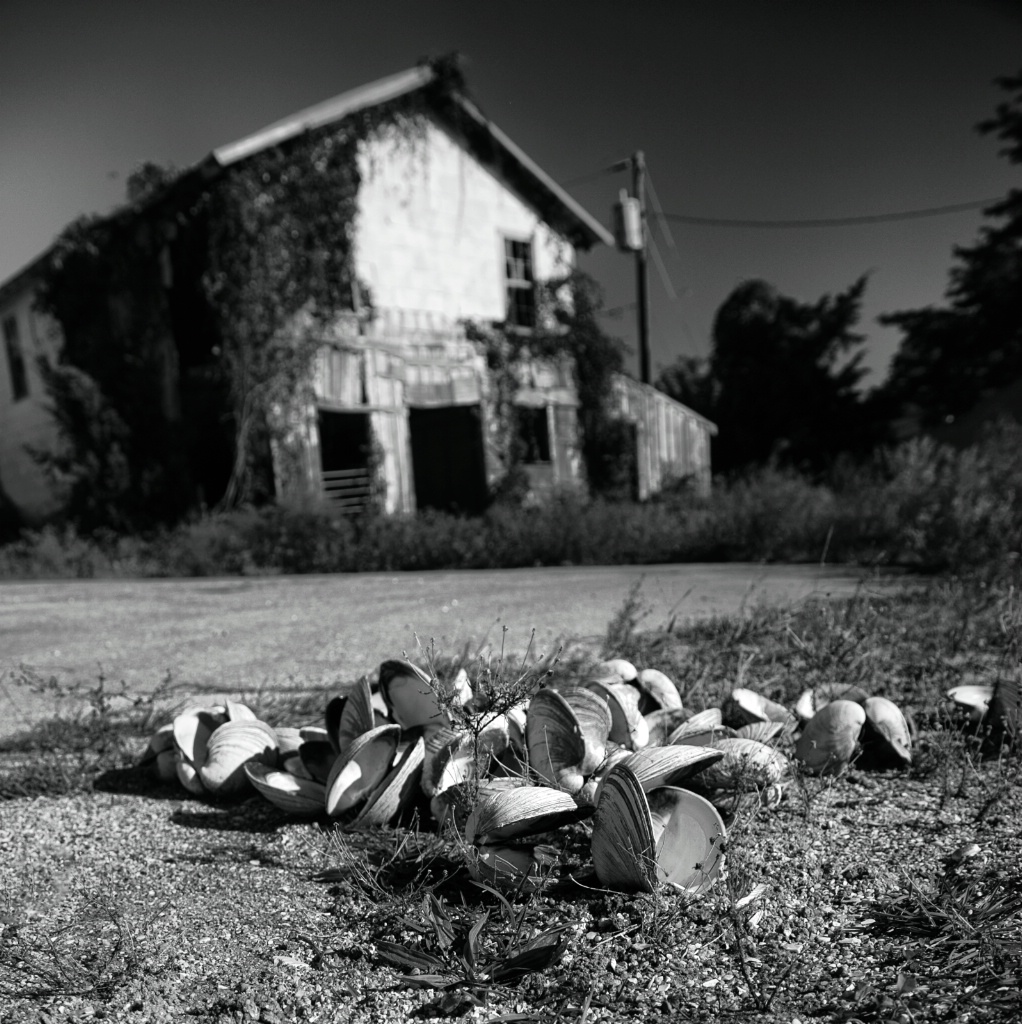 Old Fishery at Sea Level, NC