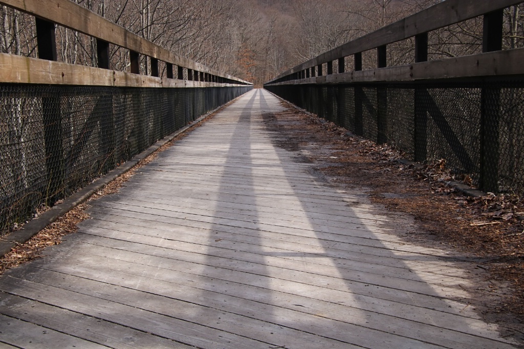 Late Winter Walk