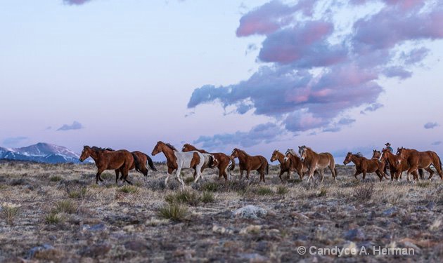 Sunrise Ride at the Ranch 