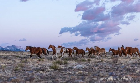 Sunrise Ride at the Ranch 