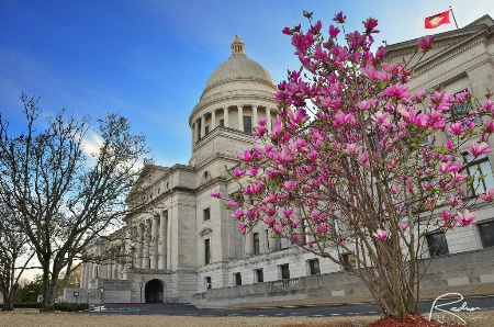 Springtime at the Capitol