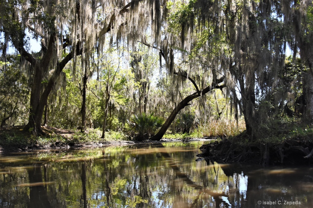 SWAMP